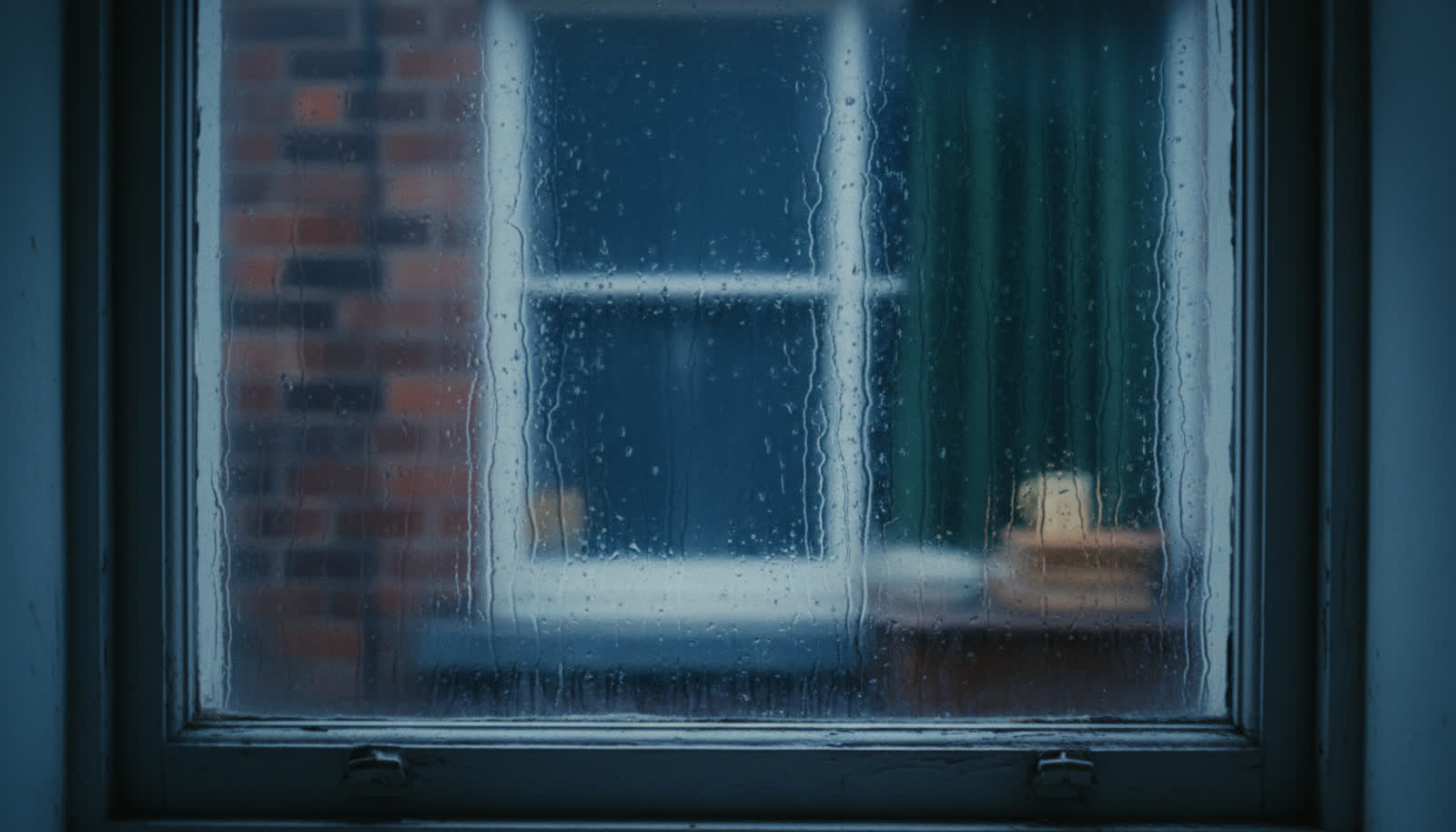 Damp and mould in a rented home: what landlords in England must do